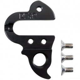 D749 derailleur hanger