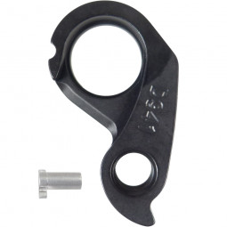 D941 derailleur hanger