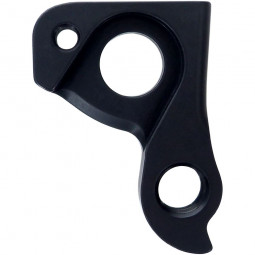 D895 derailleur hanger