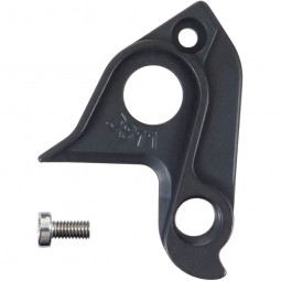 D811 derailleur hanger BMC