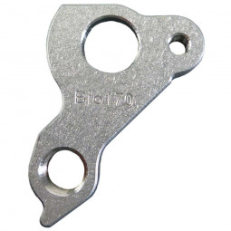 Bio170 derailleur hanger