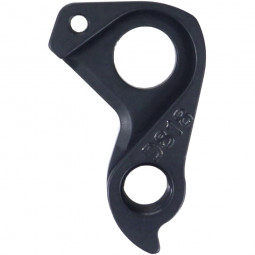 D818 derailleur hanger...