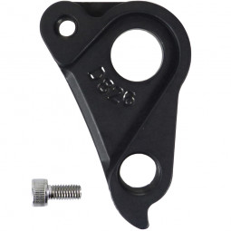 D826 derailleur hanger...