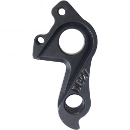 D827 derailleur hanger...