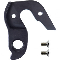 D829 derailleur hanger ORBEA