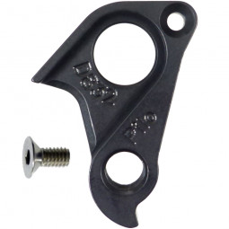 D832 derailleur hanger...