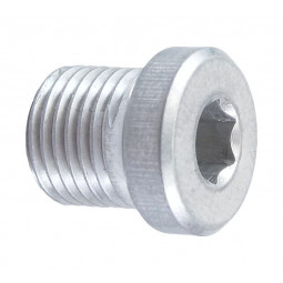 Pilo S20 derailleur screw