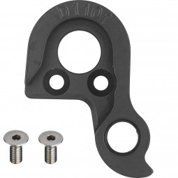 D1101 derailleur hanger