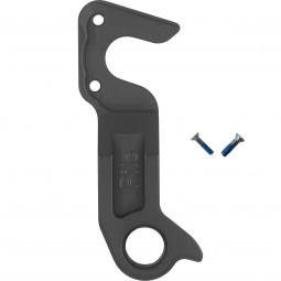 D1117 GT Derailleur hanger