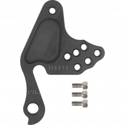 D1141 WHYTE Derailleur hanger