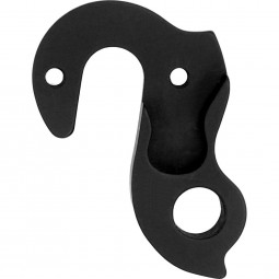B173 derailleur hanger