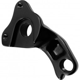 RT849 derailleur hanger