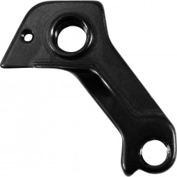 RT860 derailleur hanger