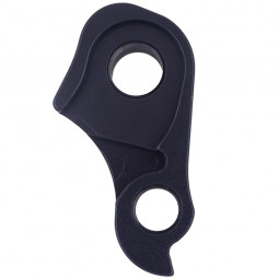 Derailleur hanger...