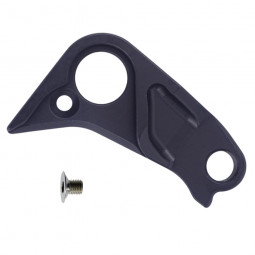 Derailleur hanger...