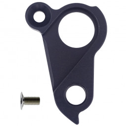 Derailleur hanger...