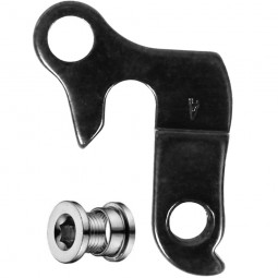 V12624 derailleur hanger...