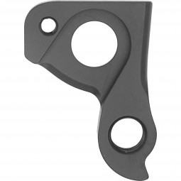 Derailleur hanger D1189