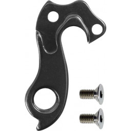 V12643 derailleur hanger...