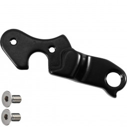 V49751 derailleur hanger