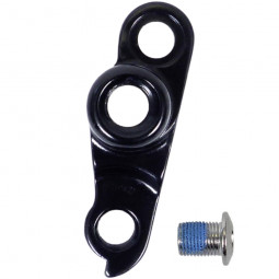V49755 derailleur hanger...