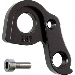 DROPOUT-287 derailleur...