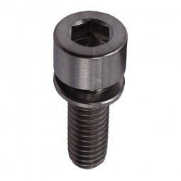Titanium caliper screw with...