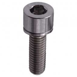 Titanium caliper screw with...