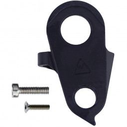 Derailleur hanger...