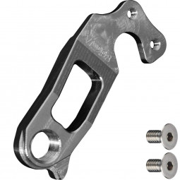 Bio298 derailleur hanger