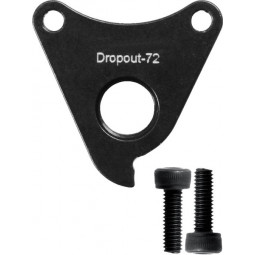DROPOUT-72 derailleur...