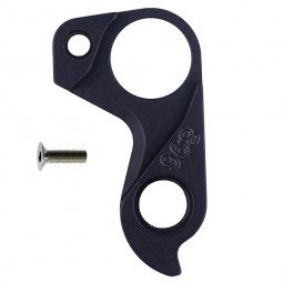 D896 derailleur hanger