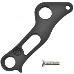 DROPOUT-395 derailleur...