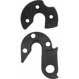 RT200 derailleur hanger