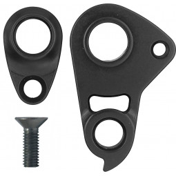 213885 derailleur hanger...