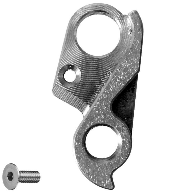 Bio331 derailleur hanger