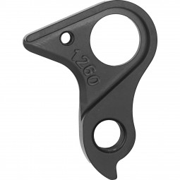 D1260 derailleur hanger