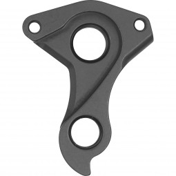 D1256 derailleur hanger
