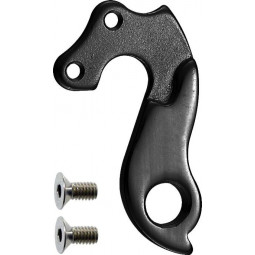 GH-080 derailleur hanger...