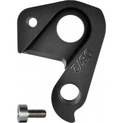 D872 derailleur hanger