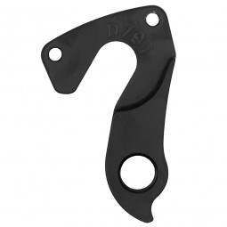 D791 derailleur hanger
