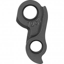 D1257 derailleur hanger