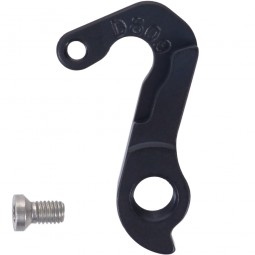 D809 derailleur hanger...