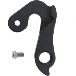 D841 derailleur hanger...