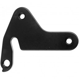613609 Derailleur hanger