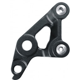 GIANT RE129 derailleur...