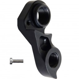 D696 derailleur hanger...