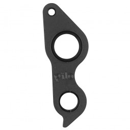 D1272 derailleur hanger