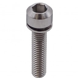 Titanium caliper screw with...