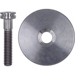 Titanium Stem Cap sold with...